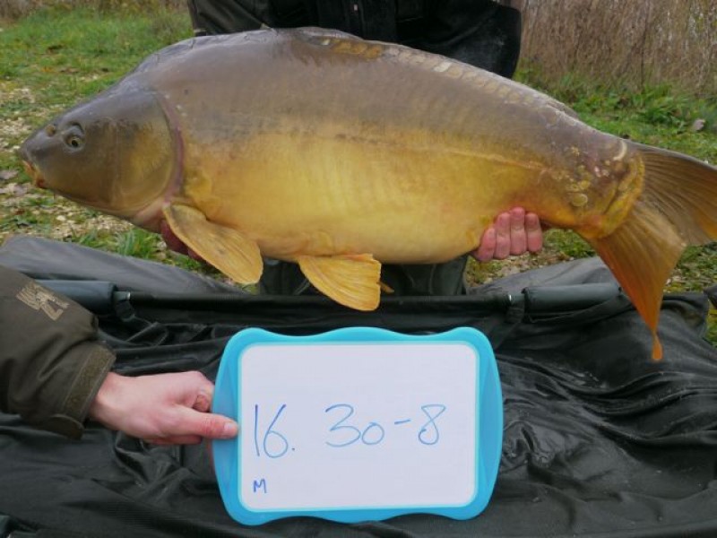 Fish 137 - Stocked at 30lb 8oz