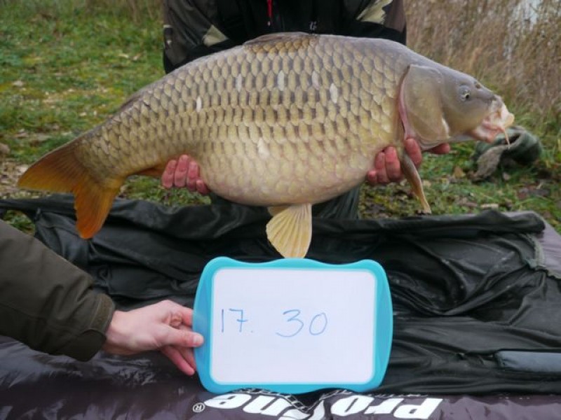 Fish 138 - Stocked at 30lb 0oz