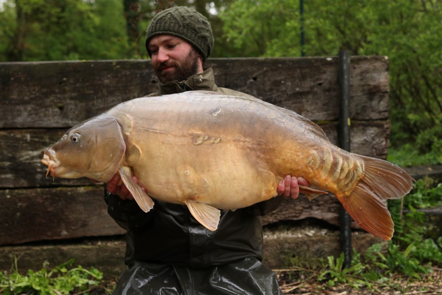 Joe Wilson - The Beach - 47lb 2oz - 13/04/2024