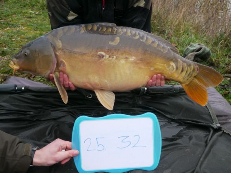 Fish 142 - Stocked at 32lb 0oz