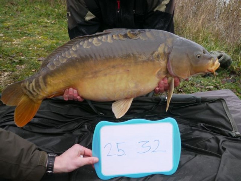 Fish 142 - Stocked at 32lb 0oz