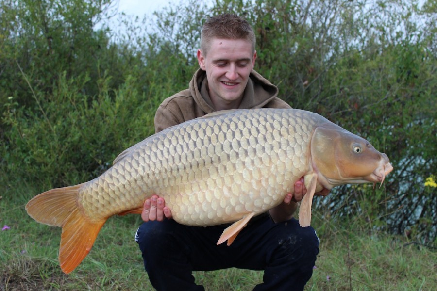 29lb August 2014