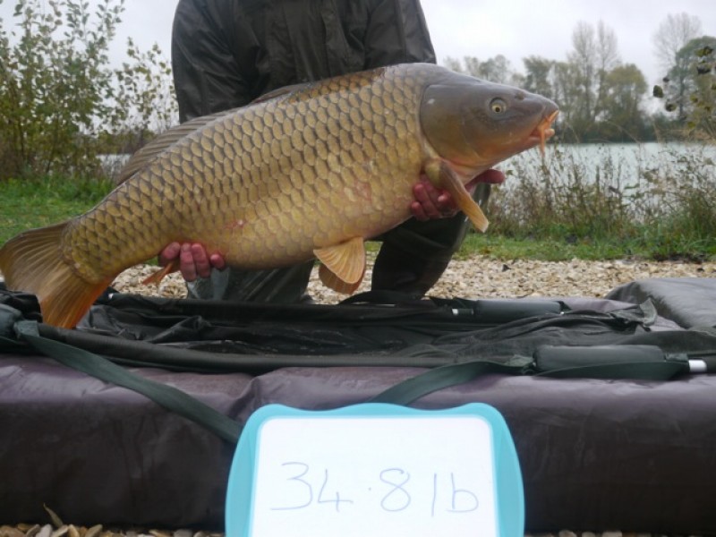 Fish 147 - Stocked at 34lb 8oz