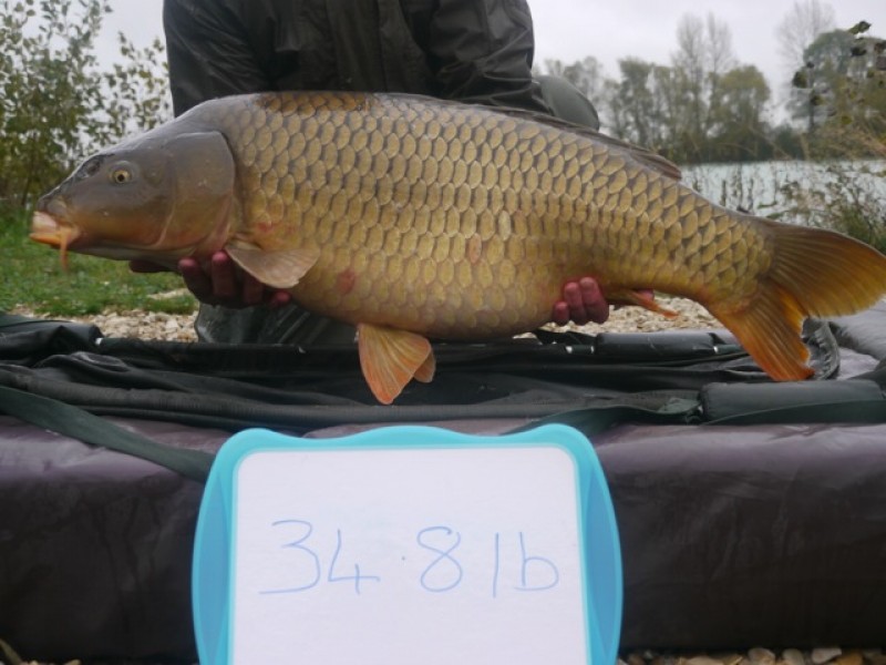 Fish 147 - Stocked at 34lb 8oz