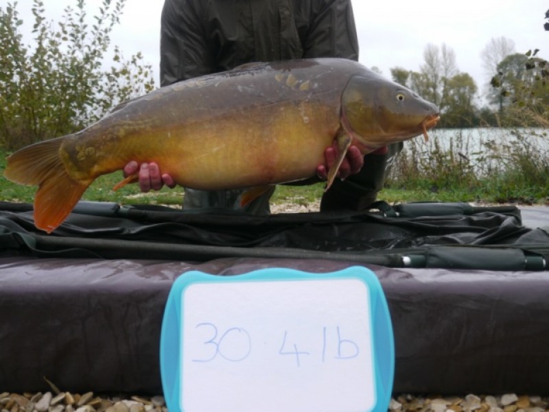 Fish 149 - Stocked at 30lb 4oz