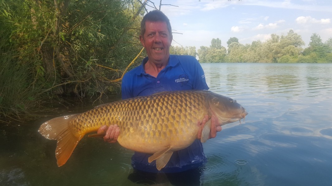 41lb Brambles July 2016