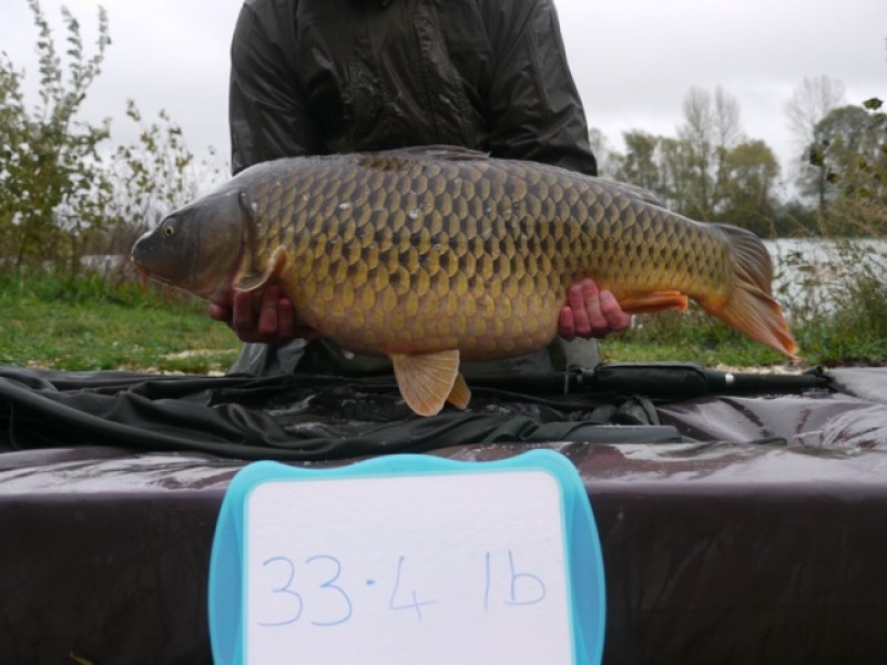 Fish 151 - Stocked at 33lb 4oz