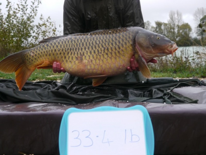 Fish 151 - Stocked at 33lb 4oz