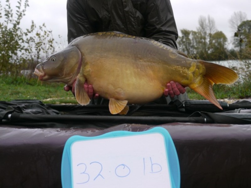 Fish 152 - Stocked at 32lb 0oz