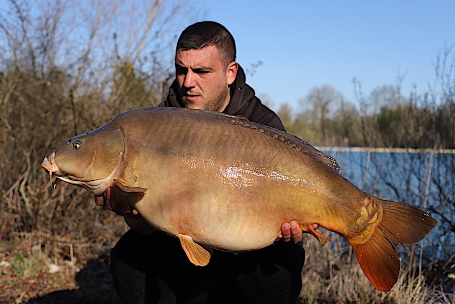 Swaley Ryan, 36lb, New Beach, 31.3.18