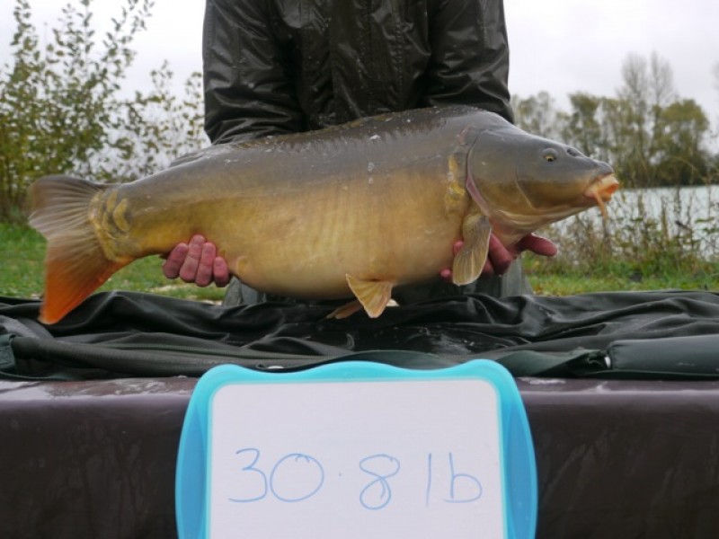 Fish 153 - Stocked at 30lb 8oz