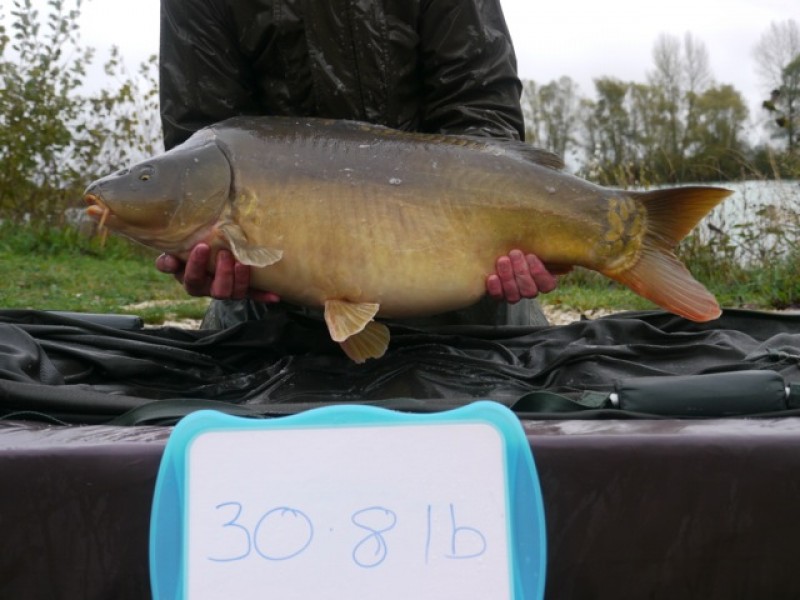 Fish 153 - Stocked at 30lb 8oz