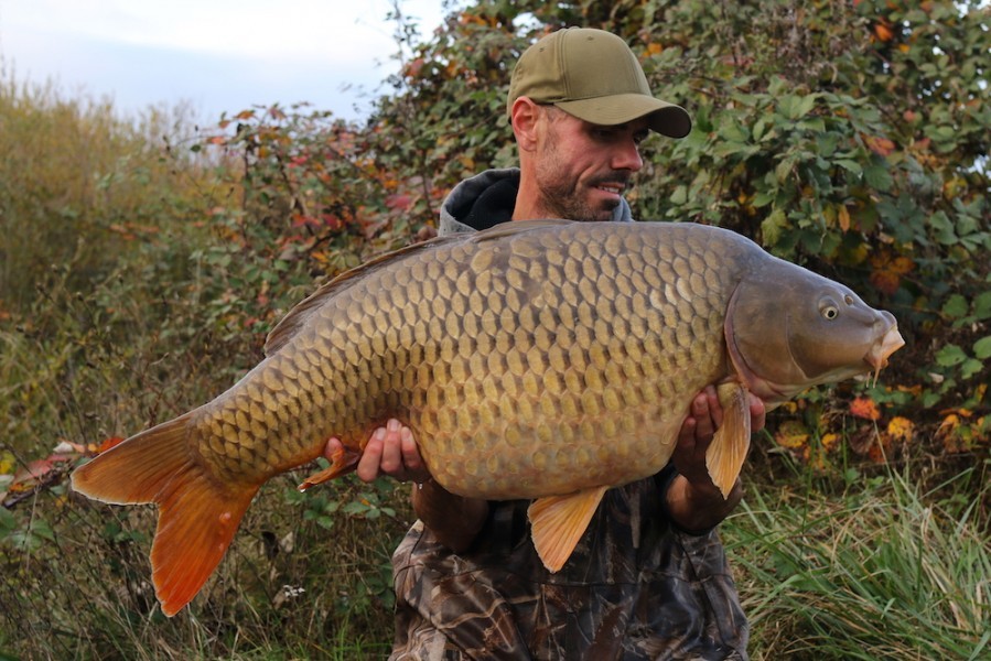 41lb 5oz Shingles October 2016