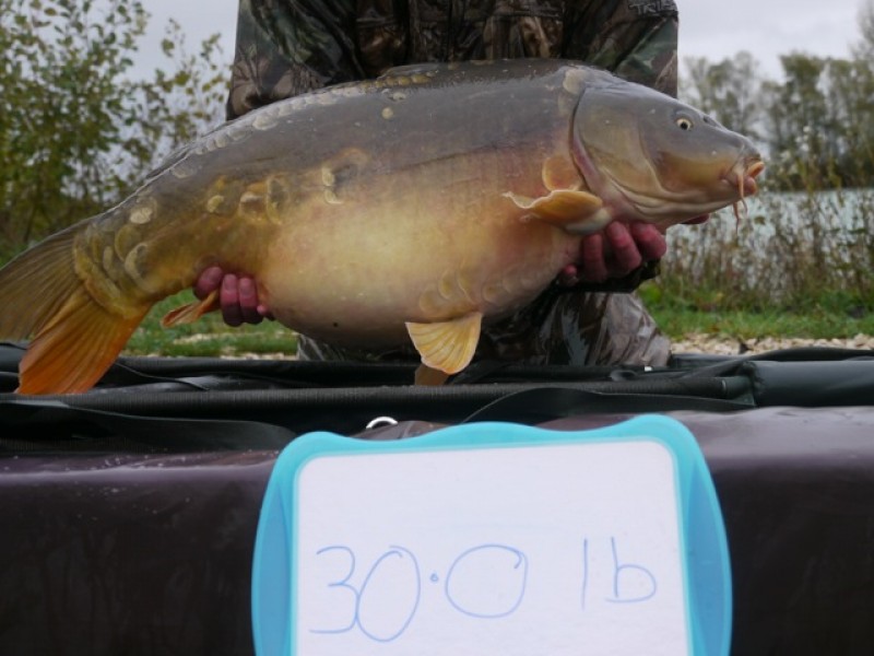 Fish 154 - Stocked at 31lb 0oz