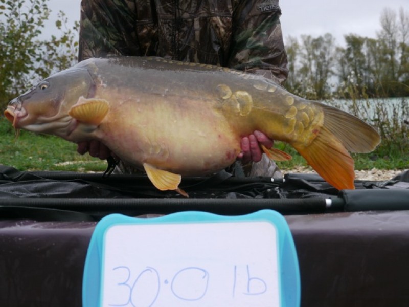 Fish 154 - Stocked at 31lb 0oz