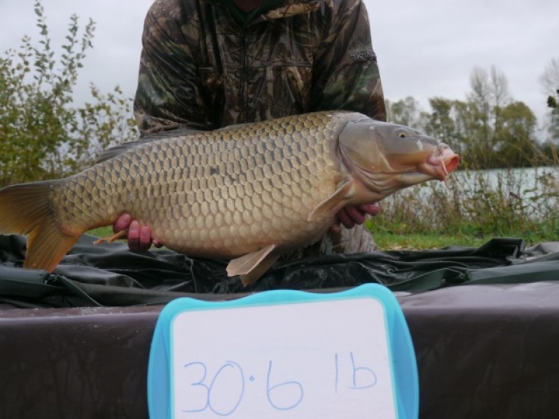 Fish 156 - Stocked at 30lb 6oz