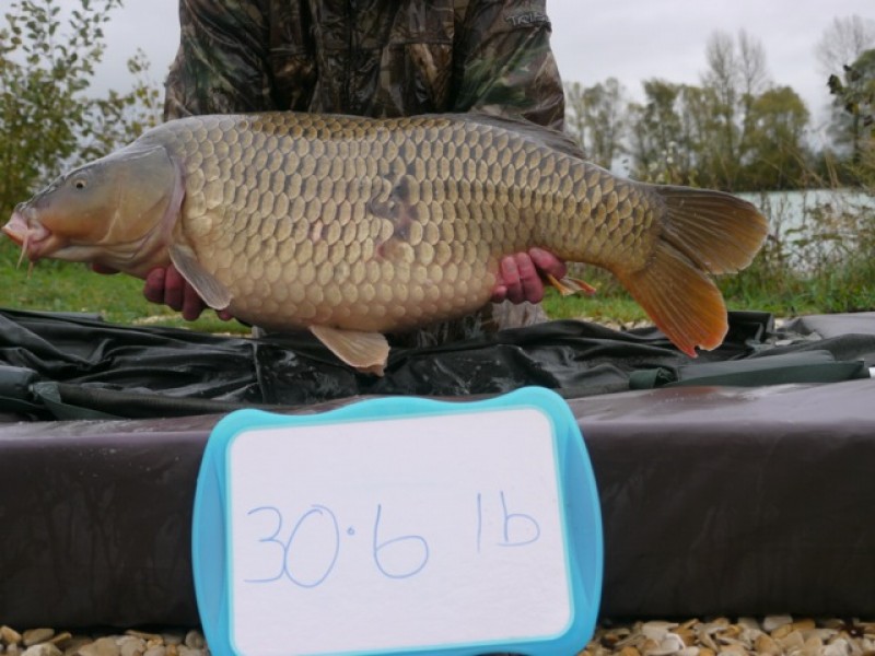 Fish 156 - Stocked at 30lb 6oz