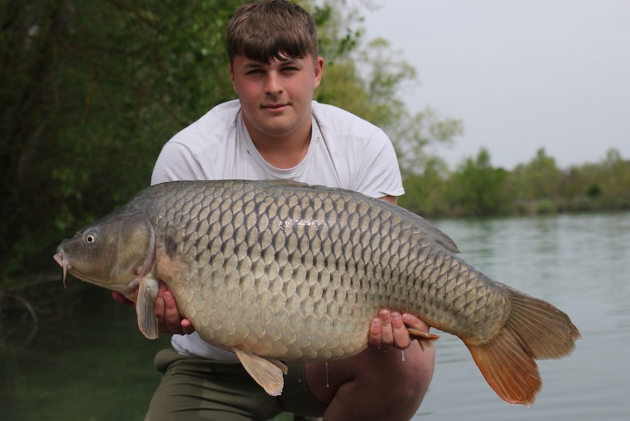 Toby Wyatt, 41lb, Tea Party, 20.4.19