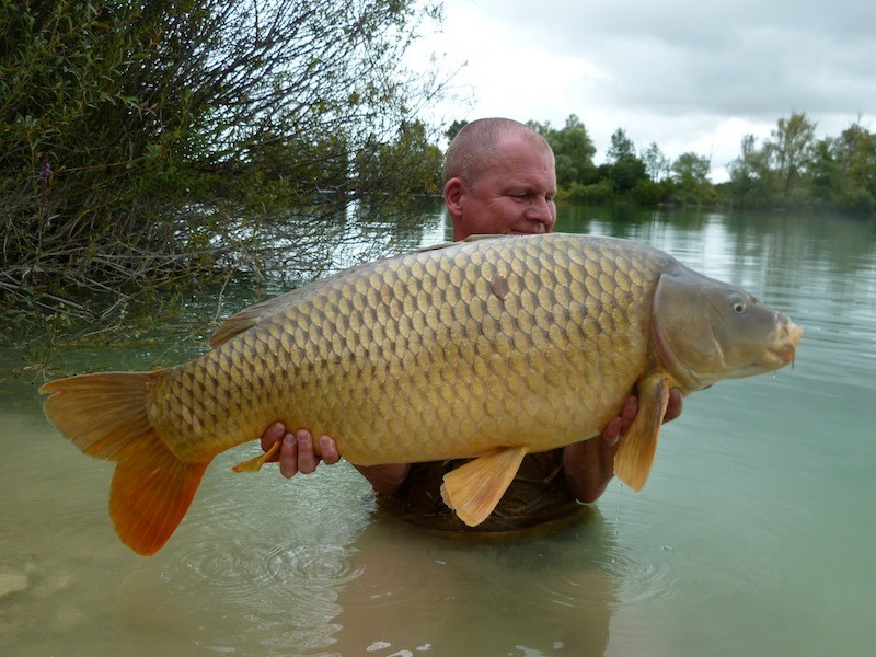 39lb 8oz August 2014