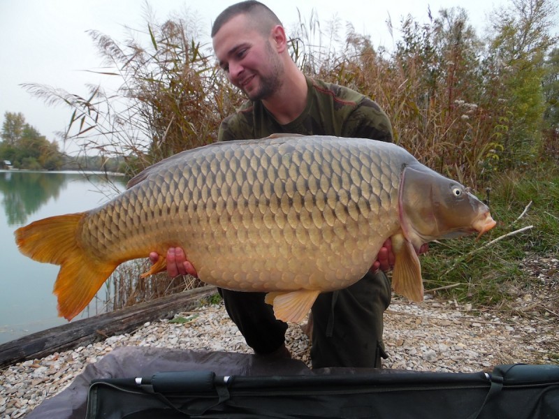 40lb 14oz October 2015