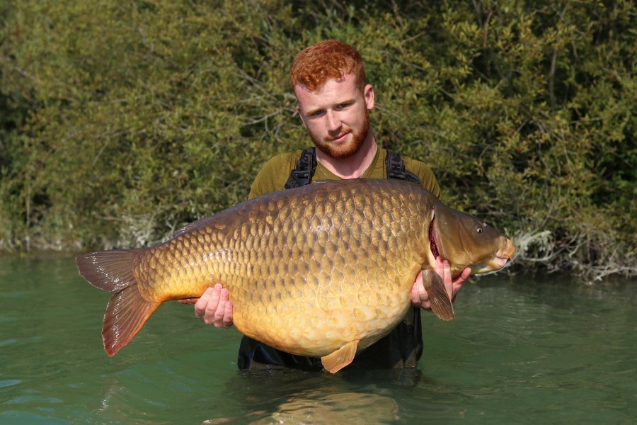 Ben Darch - Brambles - 59lb 12oz - 17/08/2024
