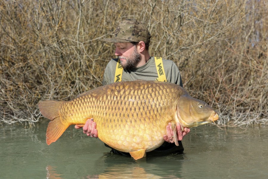 Bob Bellinger - 62lb 4oz - Turtles Corner - 01/03/2025
