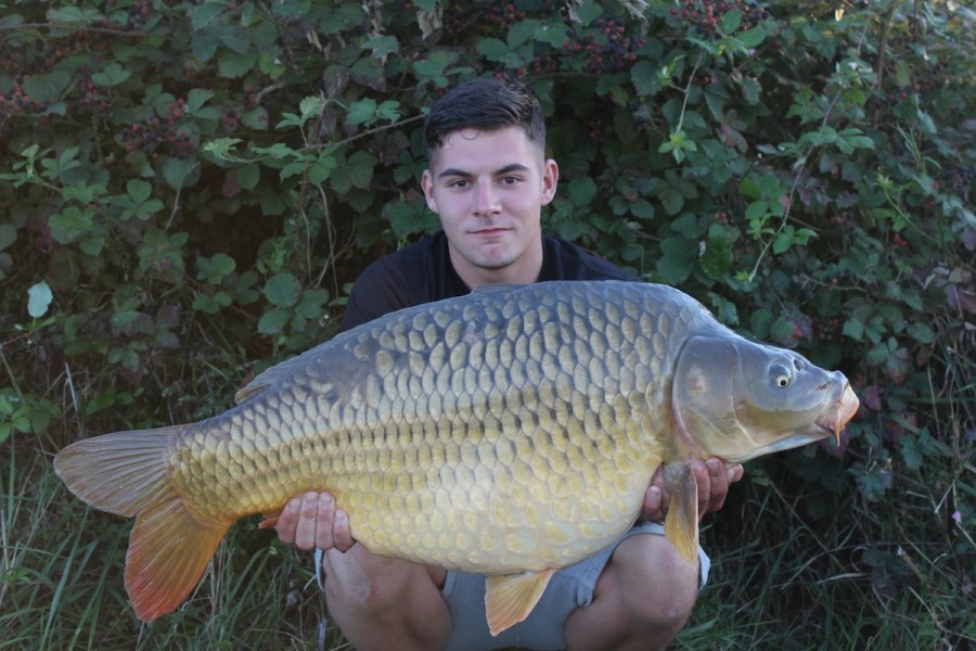 37lb August 2014