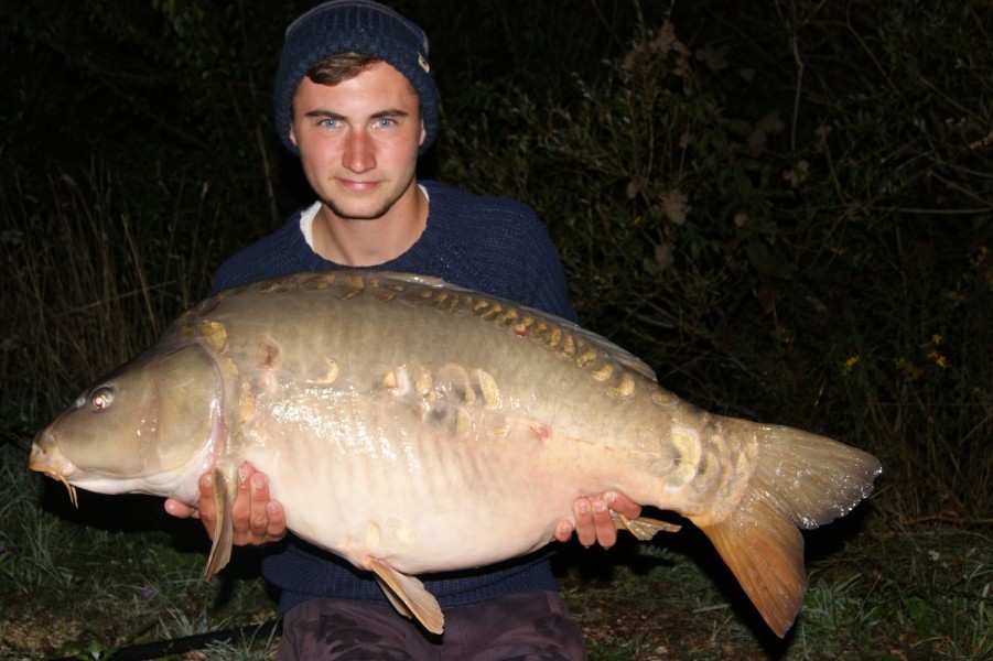 40lb Sept 2015