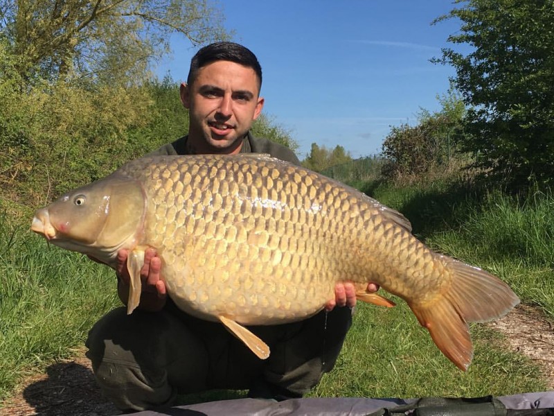 41lb 8oz Turtles Corner, April 2017