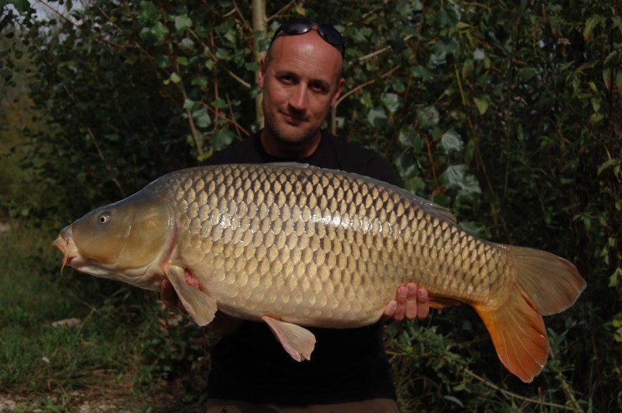 33lb 12oz Sept' 2015 Decoy
