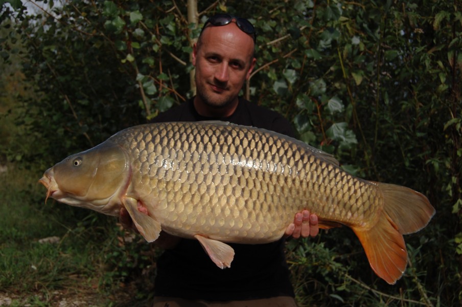 33lb 12oz Sept' 2015 Decoy