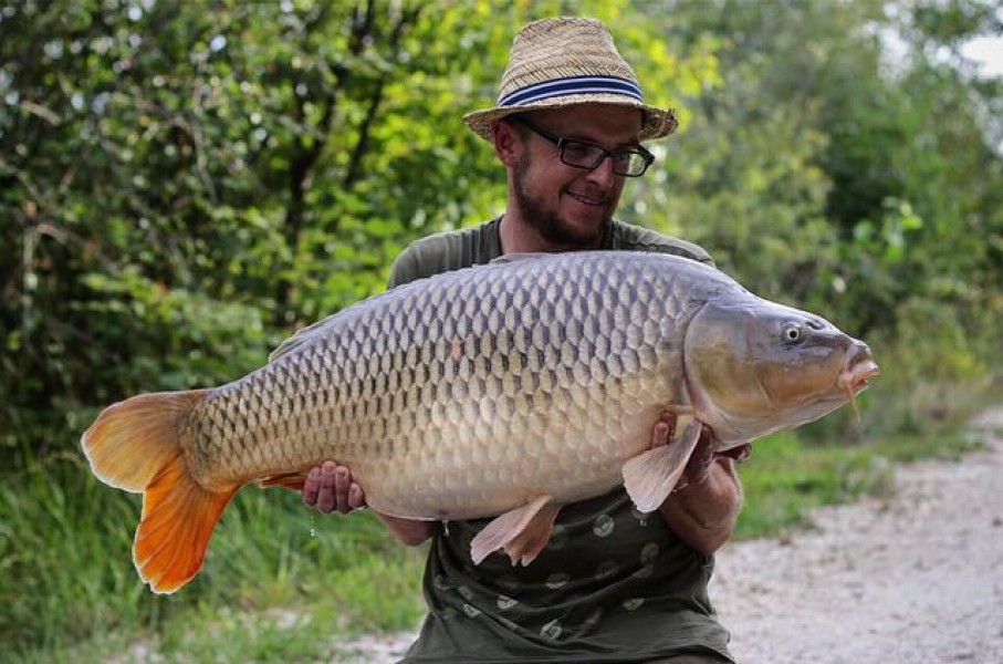 37lb 2oz Decoy August 2016