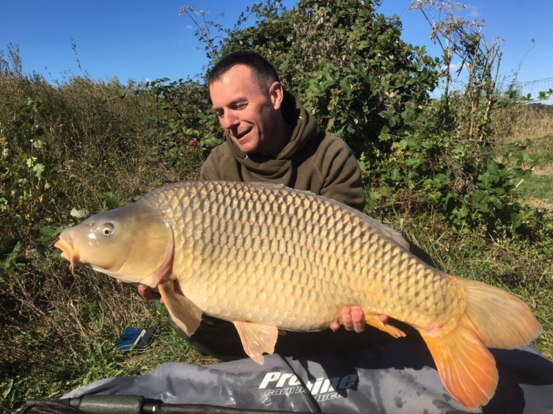 41lb Shingles October 2016