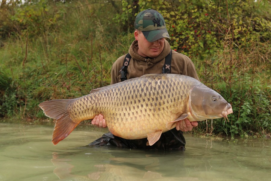 Andy Moores - Dunkerque - 64lb 8oz - 12/10/2024