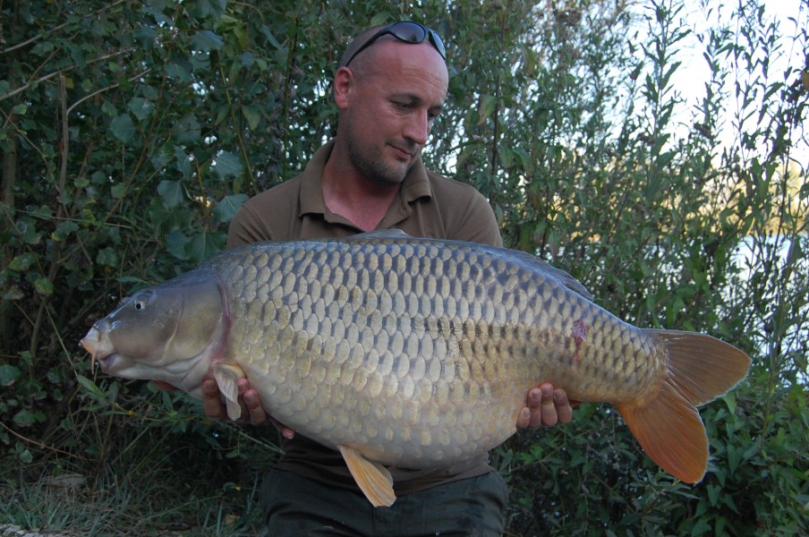 37lb 4oz September 2015