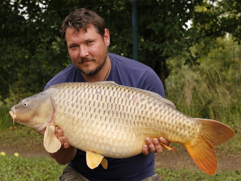 31lb August 2014