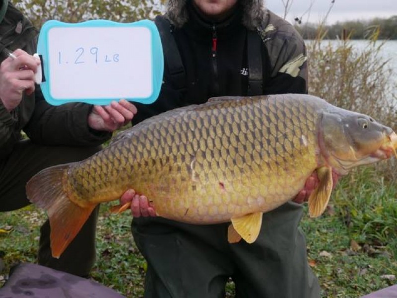 Stocked 29lb January 2014