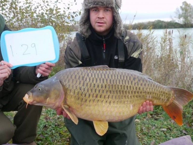 Stocked 29lb January 2014