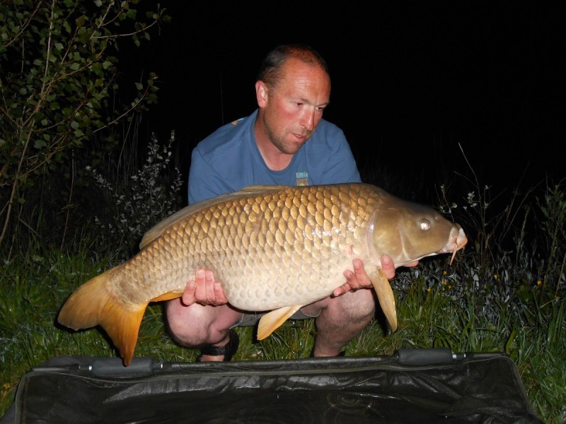 29lb May 2015