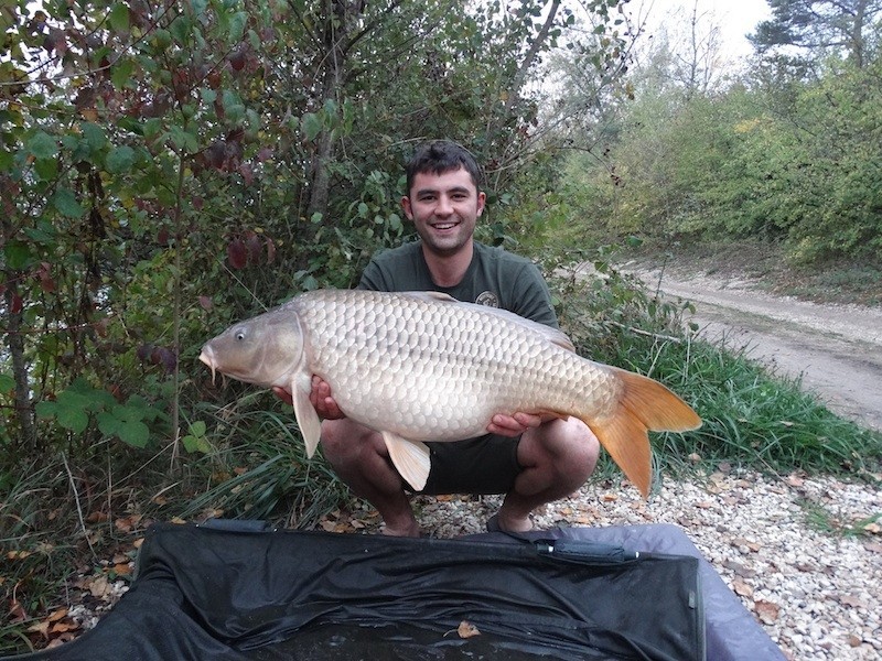 31lb October 2015