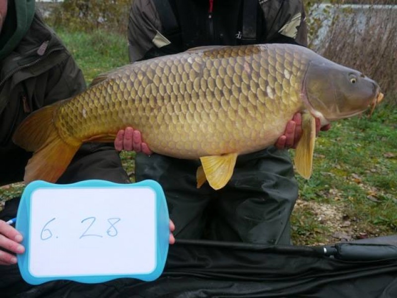 Stocked 28lb January 2014