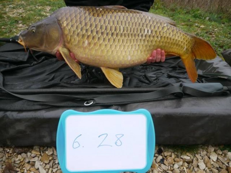 Stocked 28lb January 2014