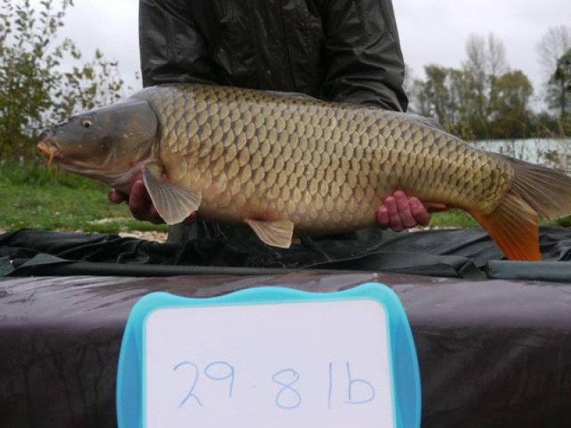 Stocked 29lb 8oz January 2014