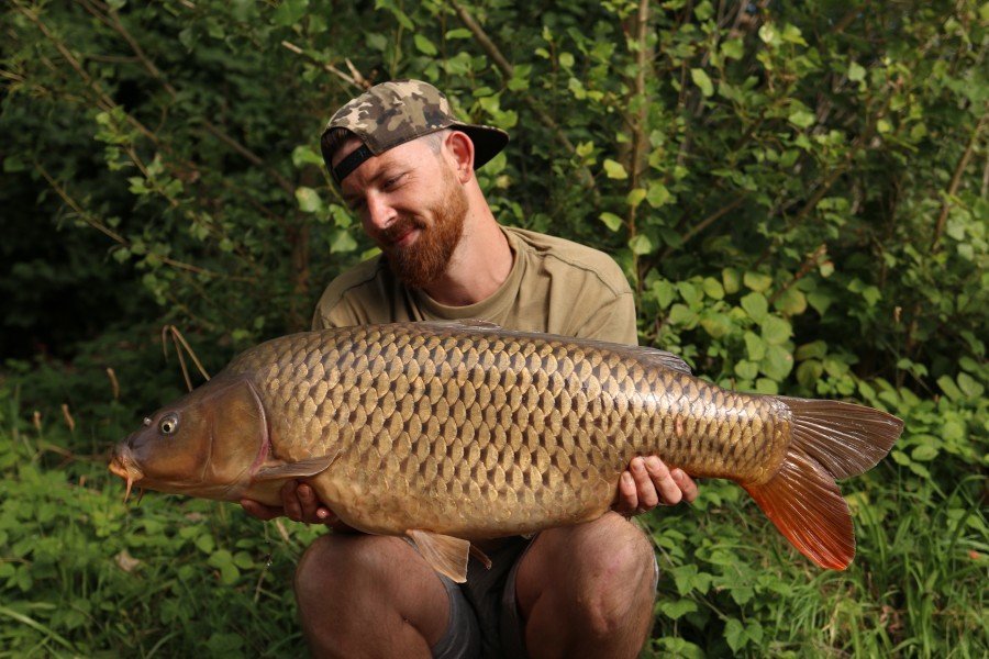 Deacon Ollie - 36lb 8oz - Turtles Corner - 28/08/2021