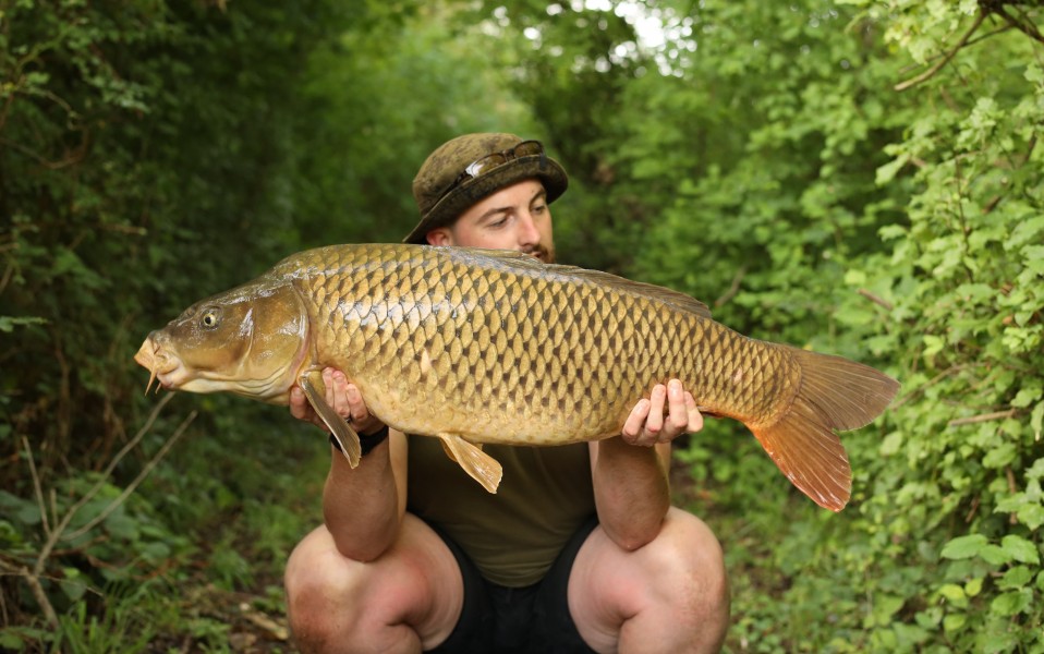 Matthew Pole, 31lb 4oz, Turtles Corner, 26/07/2025