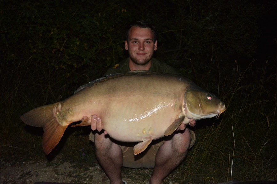 31lb August 2015