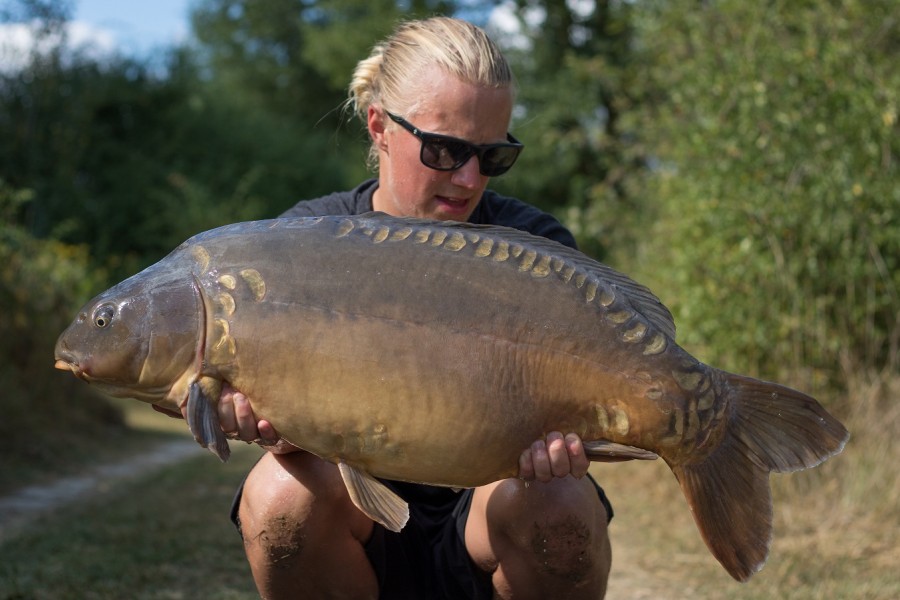 33lb 10oz Bacheliers August 2016