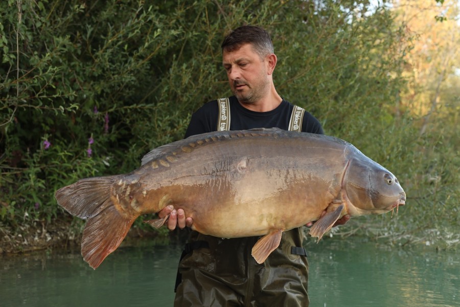 Lee Smith, 56lb 8oz, Decoy, 16/08/2025