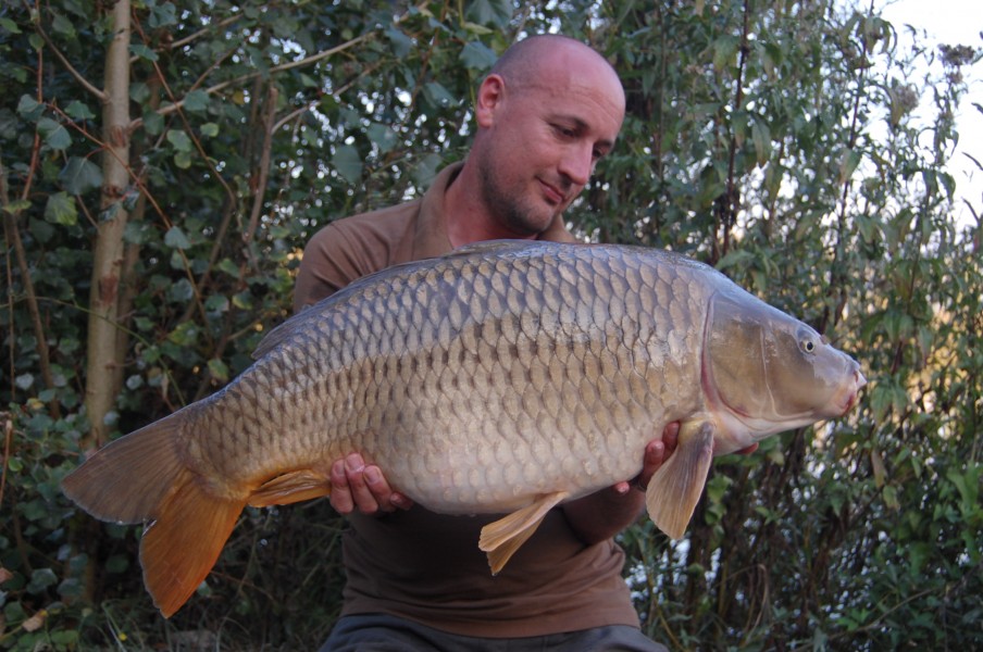 29lb 2oz August 2015