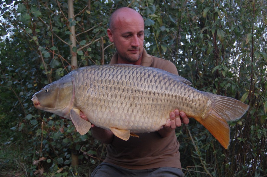 29lb 2oz August 2015